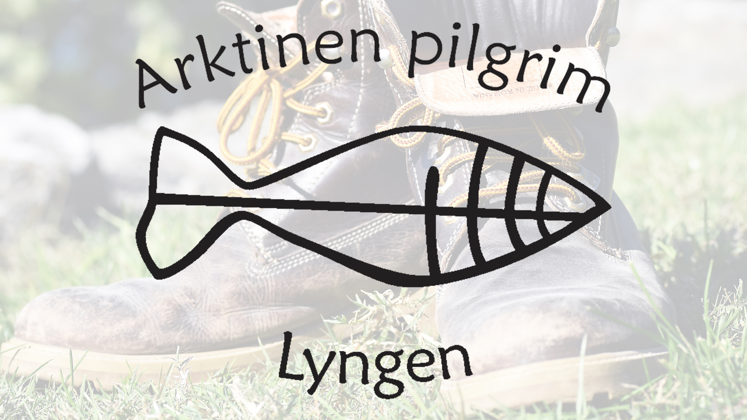 Arktinen pilgrim Lyngen